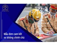 Mẫu đơn cam kết xe không chính chủ mới nhất