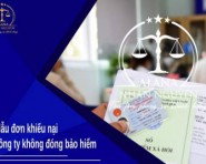 MẪU ĐƠN KHIẾU NẠI CÔNG TY KHÔNG ĐÓNG BẢO HIỂM
