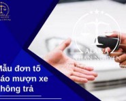 Mẫu đơn tố cáo mượn xe không trả