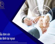 MẪU ĐƠN XIN BẢO LÃNH TẠI NGOẠI