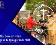 Mẫu đơn xin nhận lại xe bị tạm giữ mới nhất