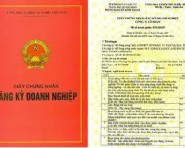 Đề nghị cấp lại Giấy chứng nhận ĐKDN/ĐKHĐ CN/VPĐD/ Địa điểm KD của TC KH&CN tự trang trải kinh phí