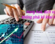 Hàng hóa, dịch vụ không kê khai thuế