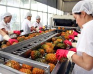 Kinh doanh nông sản có phải chịu thuế Giá trị gia tăng